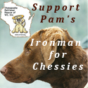 Fundraiser for Chessies click here